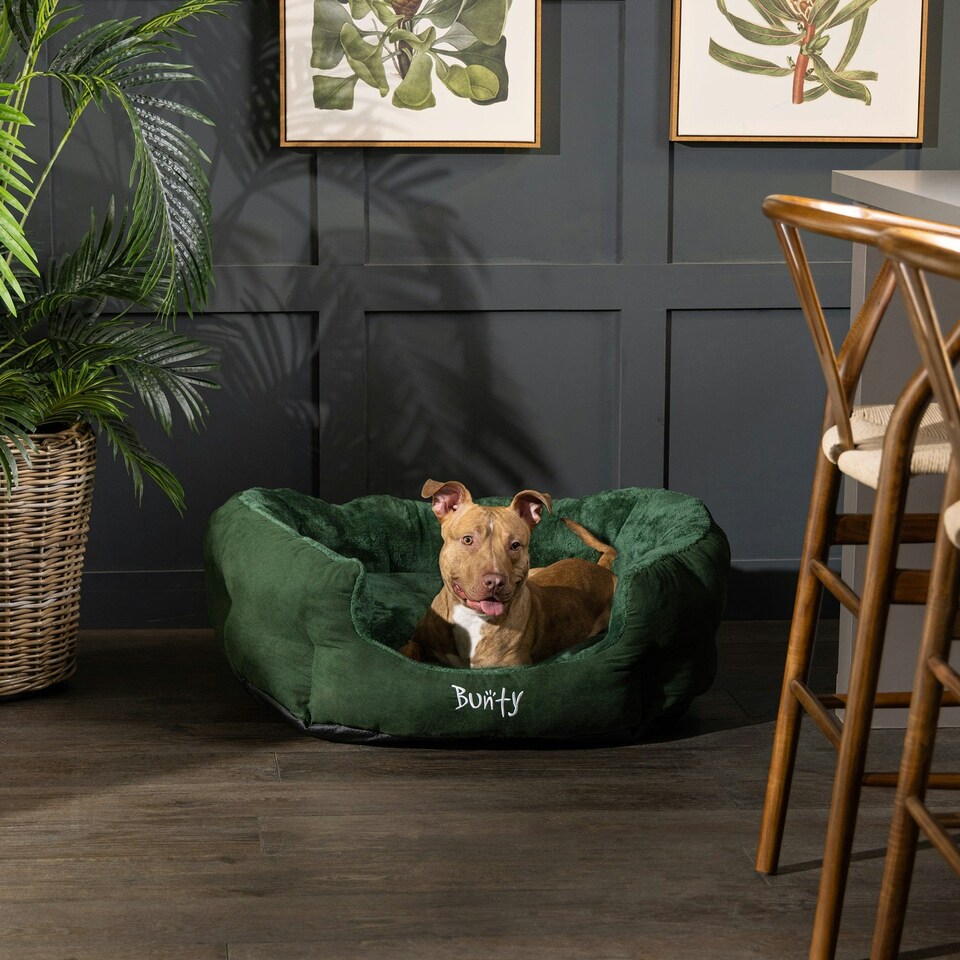 image 1 of Bunty Polar Dog Bed Green | XL