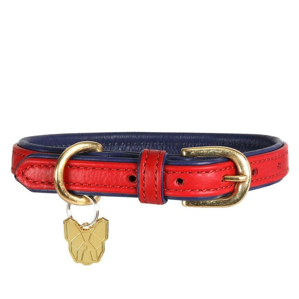 Digby & Fox Leather Padded Dog Collar - Scarlet - L - Neckline: 53cm-58cm