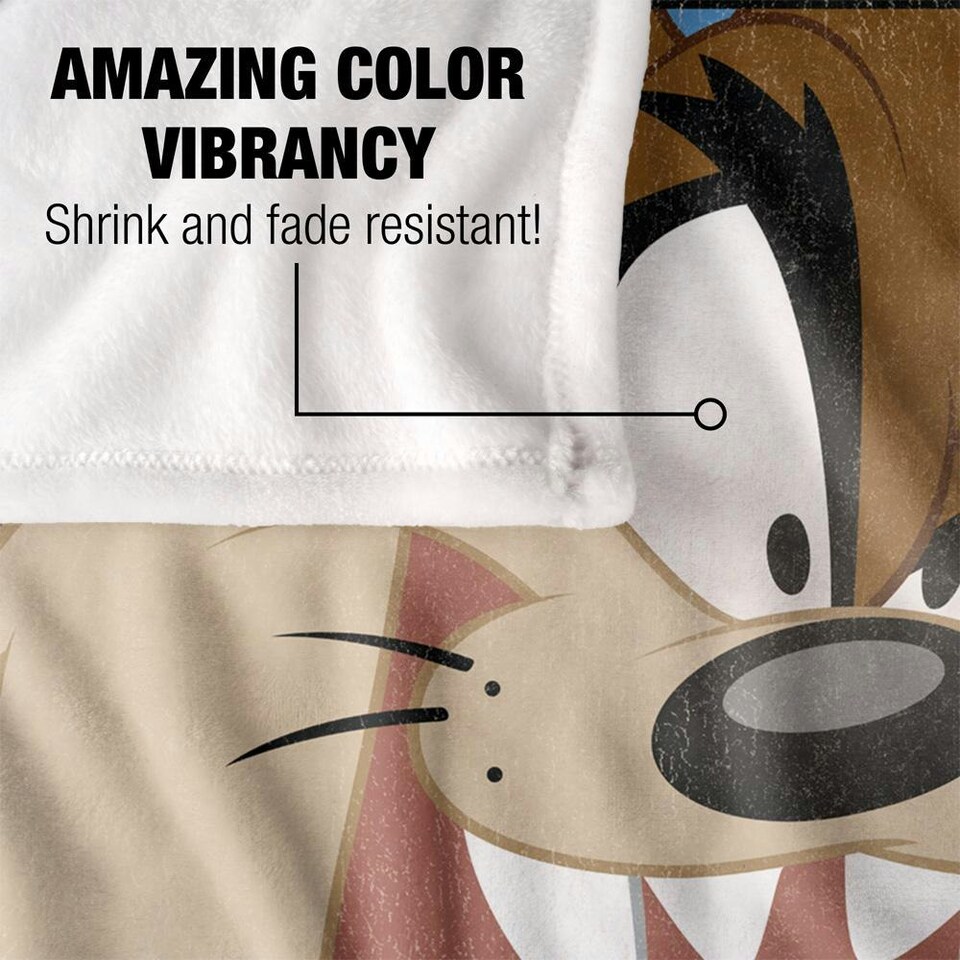 image 1 of Looney Tunes Framed Taz Blanket - Multicoloured - One Size