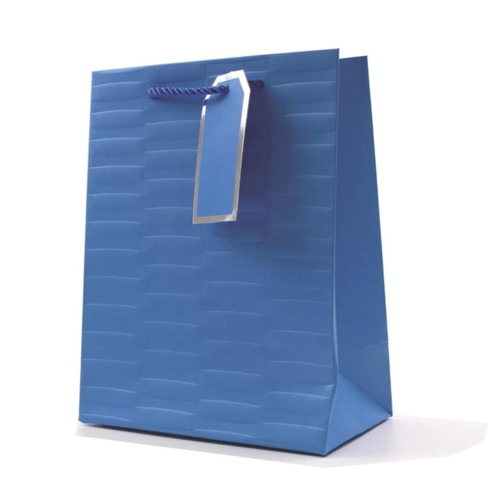 image 1 of Embossed Bright Coloured Medium Gift Bag