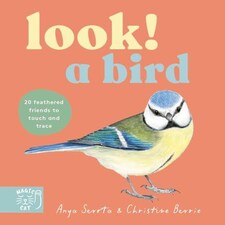Look! A Bird! Board Book Book
