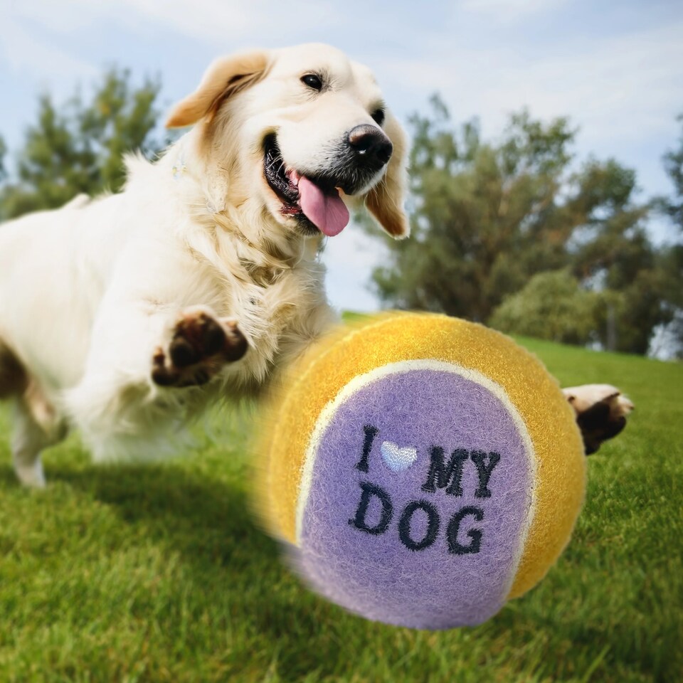 image 1 of Pre-Personalised Dog Ball Gift Pack 2pcs Blue Harley