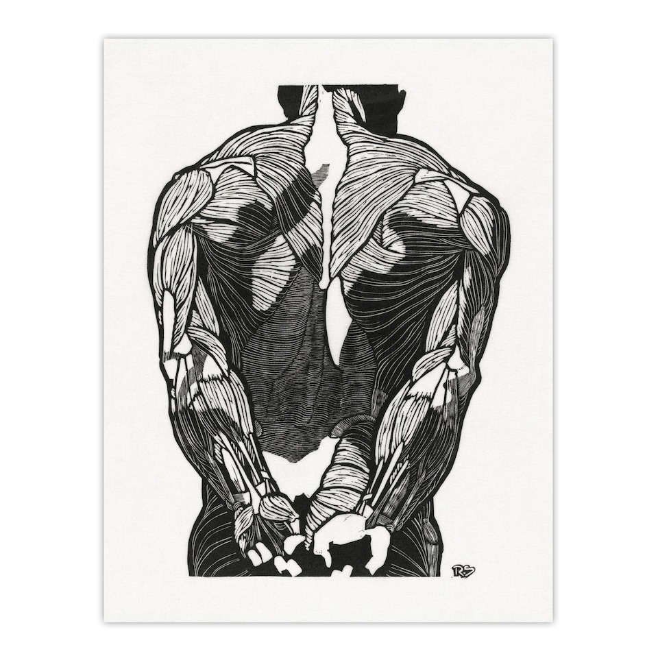 image 1 of Reijer Stolk Anatomical Study Of Mans Back Muscles Framed Wall Art Print A3