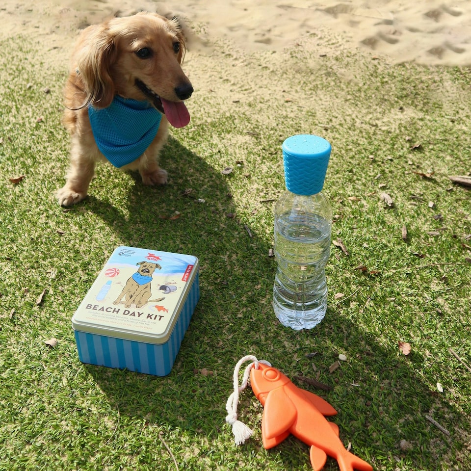image 1 of Kikkerland Dog Beach Day All In One Kit