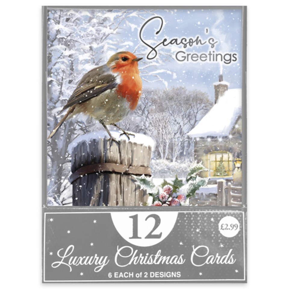 image 1 of Traditional Robin Christmas Greeting Cards - Pack of 12