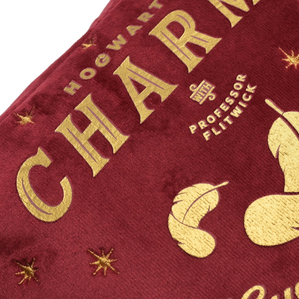 image 1 of Warner Bros Harry Potter Alumni Wash Bag Charms