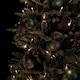 image 6 of 20m Battery Operated Indoor Outdoor Christmas String Lights with 200 LEDs in Warm White