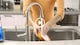 image 3 of VAX Air Stretch Pet Max Corded Upright Vacuum Cleaner U85-AS-Pme
