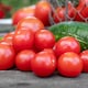 image 4 of Tomato Indoor Collection - Ailsa Craig, Big Daddy & Gardeners' Delight 3 x 9cm