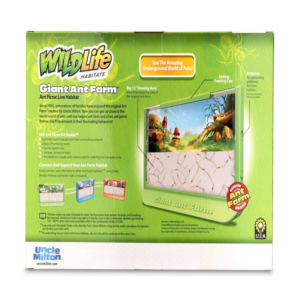 image 1 of Giant Ant Farm