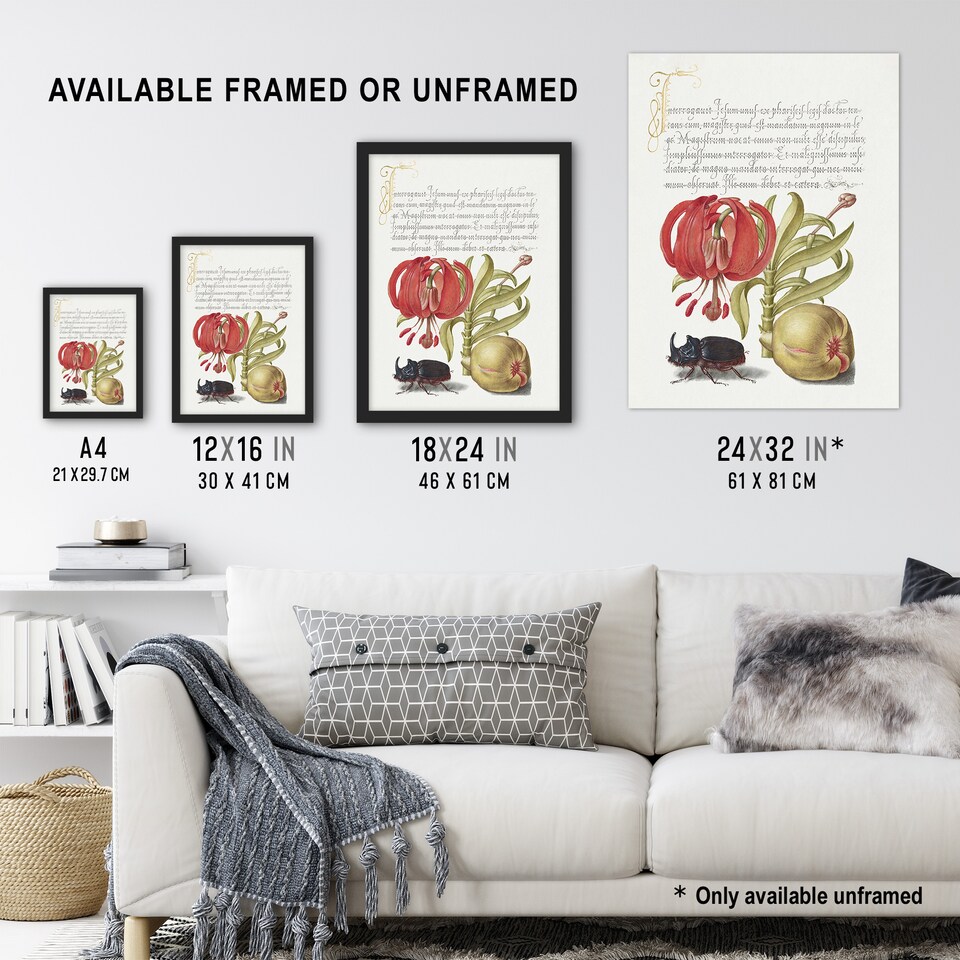 image 1 of Turks Cap Lily Fig and Beetle Calligraphy Huge Wall Art Poster Print 24X32"