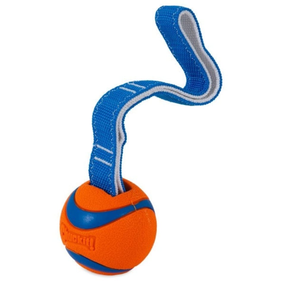 image 1 of Chuckit! Ultra Tug Dog Chew Pull Ball Toy Medium