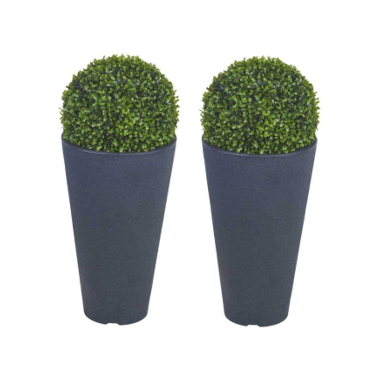 Round Pots with Boxwood Ball Plant - 28x25x25cm Grey Charcoal & Set of 2 2