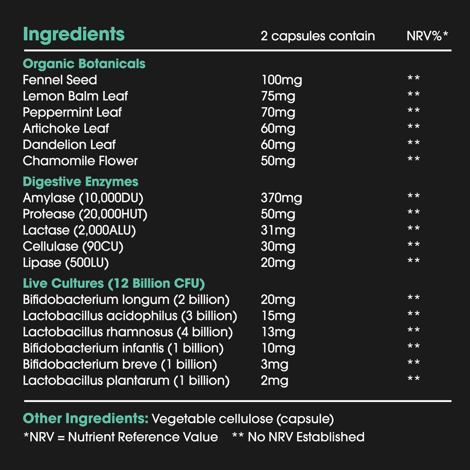 image 1 of 3 in 1 Gut Health - 12 Billion Probiotics, 5 Digestive Enzymes, 6 Botanicals