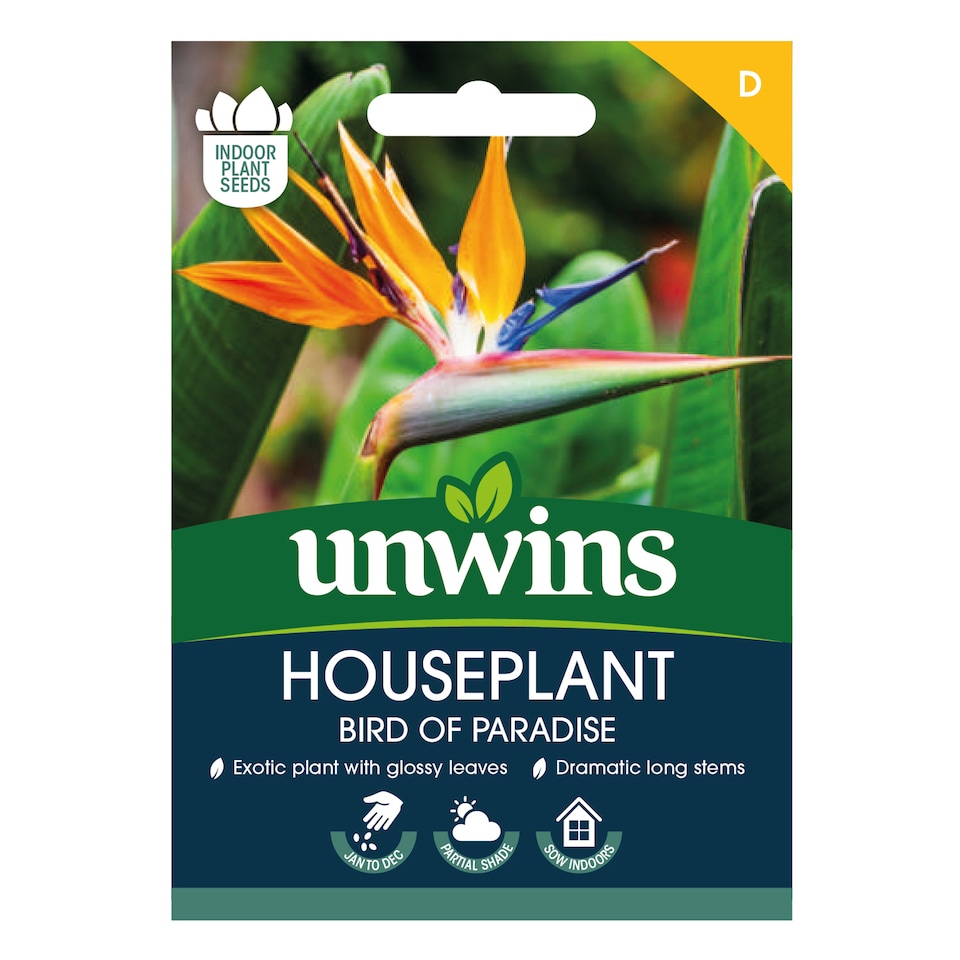 image 1 of Houseplant Bird of Paradise (Strelitzia Reginae) | Multi