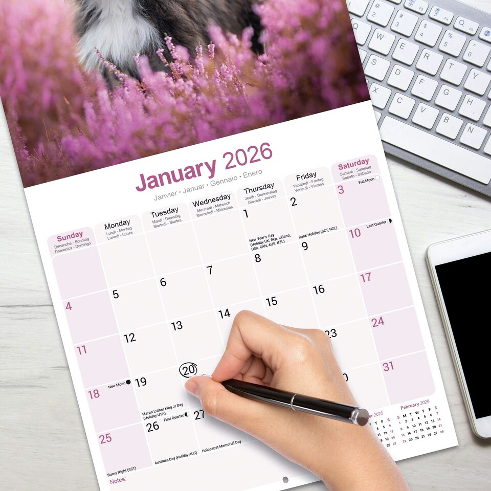 image 1 of Bearded Collie 2026 Calendar | Square Wall Calendar | Dog Breed Gift | Plastic Free Packaging | by Avonside Publishing