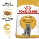 image 3 of Royal Canin Cat British Shorthair Adult 10KG