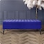Sapphire Blue Plush Velvet