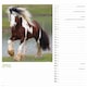 image 2 of Horses Calendar 2026, Wall Calendars, Month To View, Animals, Gift