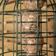 image 8 of Pack of 2 Wild Bird Fat Ball Feeder with Squirrel Guard