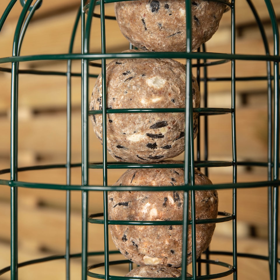 image 1 of Pack of 2 Wild Bird Fat Ball Feeder with Squirrel Guard