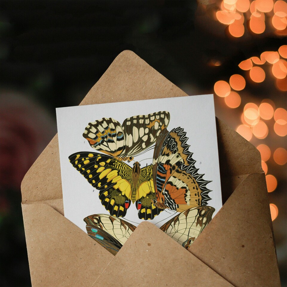 image 1 of Eugene Seguy Art Card Papillons Butterflies Illustration
