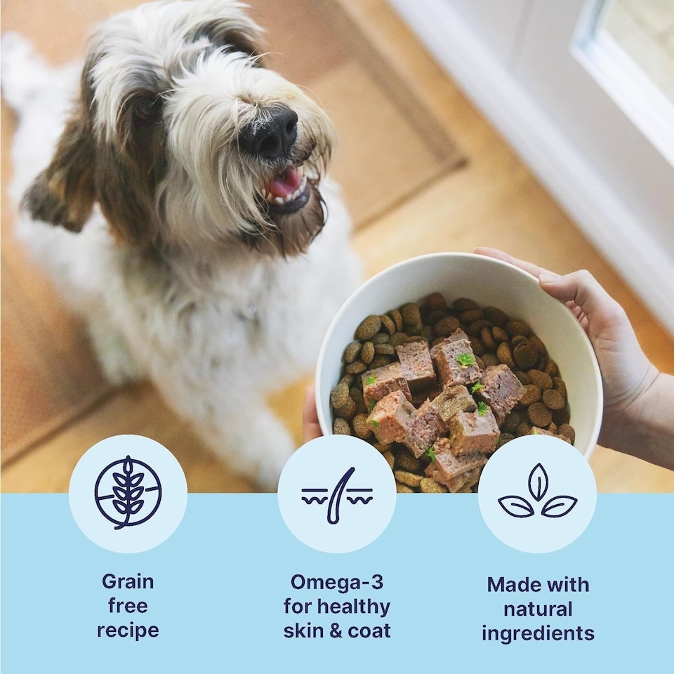 image 1 of Tails.com Inner Vitality Wet Dog Food Alu Tray Sensitive Adult Chicken & Cod 11 x 150g