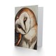 image 2 of Peaceful Portrait Calm Magical Owl Bird Animal Him Her Birthday Card