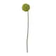 image 4 of Hill Interiors Allium Stem Artificial Plant - Green - 75cm