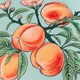 image 4 of furn. Anemone Peaches Multicolour Outdoor Cushion 45 x 45cm Multi