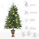 image 8 of HOMCOM 4FT Christmas Tree Spruce Entrance Décor W/ Clear LED Lights Vase Base