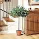 image 8 of Outsunny 3ft Artificial Olive Tree Indoor Plant Greenery for Home Office Potted in An Orange Pot