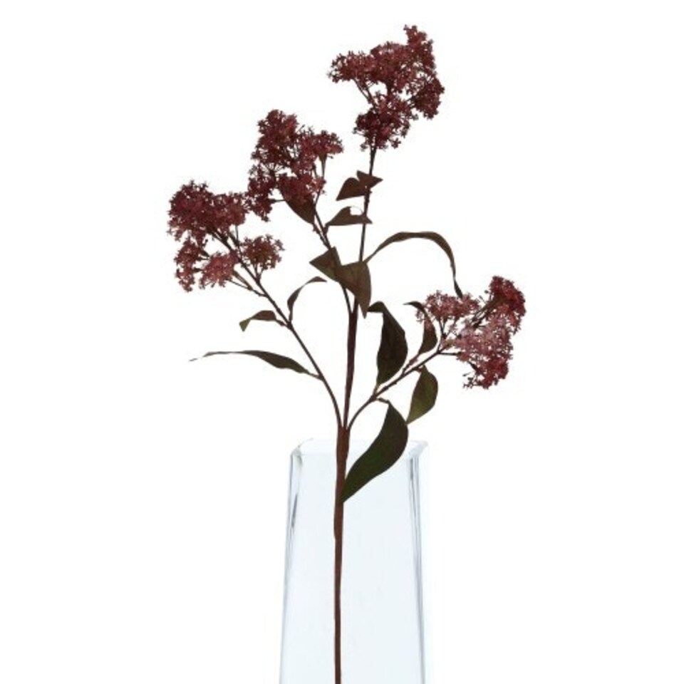 image 1 of Hill Interiors Smokebush Artificial Flower - Burgundy - One Size