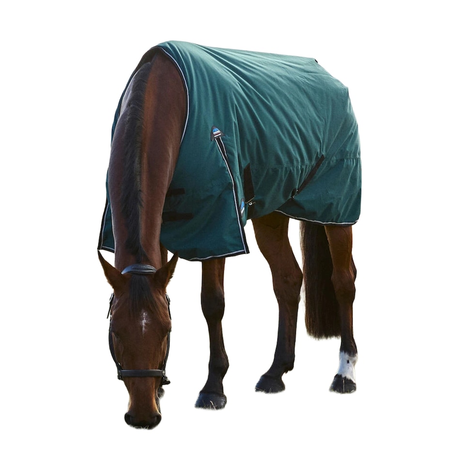 image 1 of Weatherbeeta Comfitec Classic Standard-Neck 220g Horse Turnout Rug | Green | Forest Green/Black | 7Ft | 1