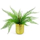 image 5 of 60cm Artificial Bushy Dixie Wood Fern Dark Green Plant
