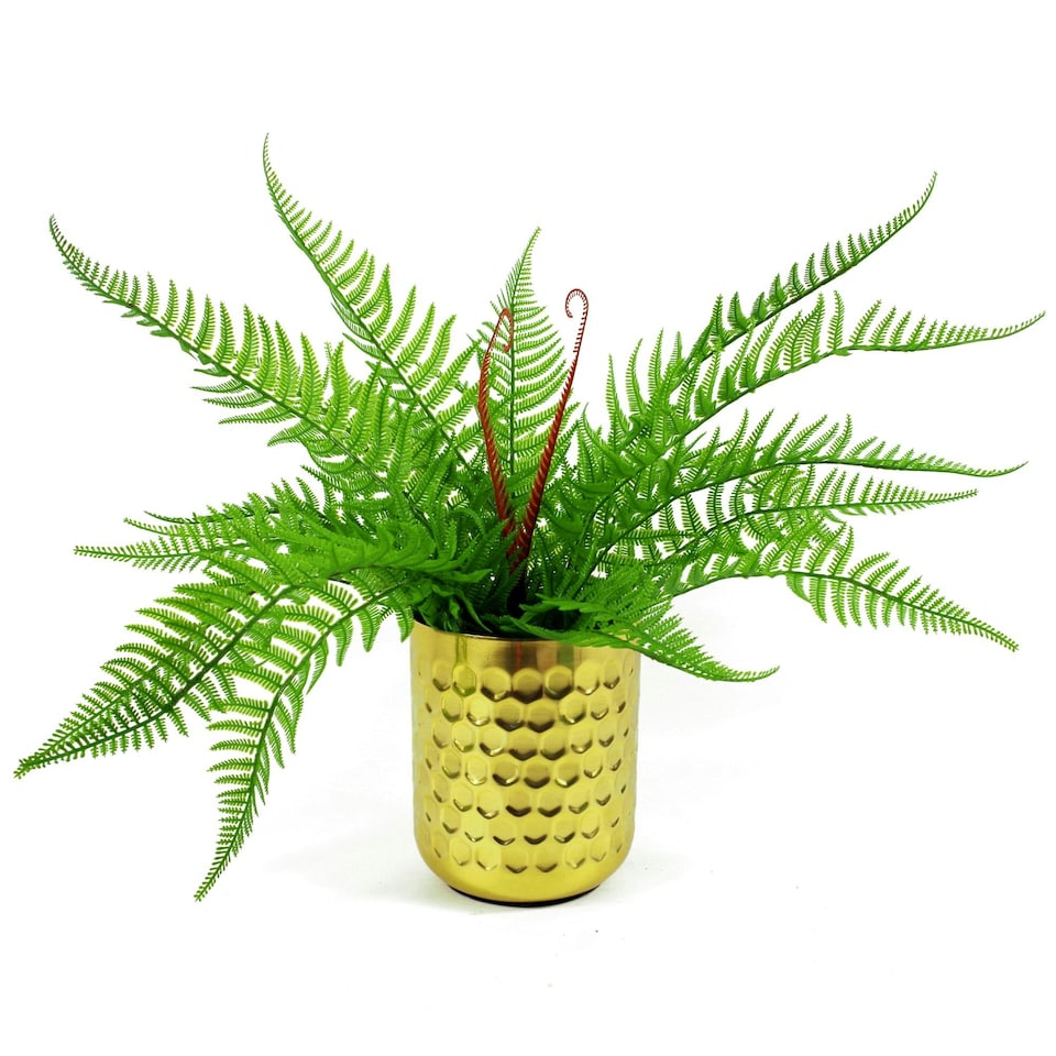 image 1 of 60cm Artificial Bushy Dixie Wood Fern Dark Green Plant