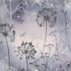 image 1 of Damselfly Purple