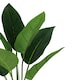 image 2 of 45cm Artificial Aureum Plant