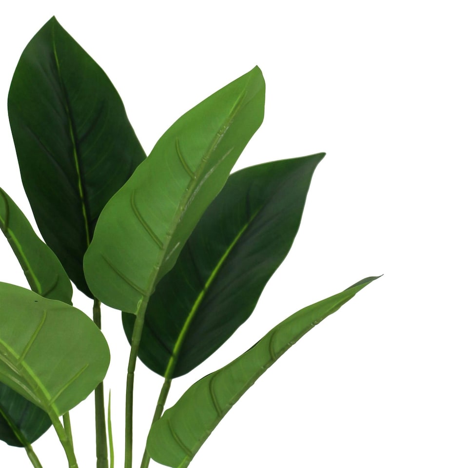 image 1 of 45cm Artificial Aureum Plant