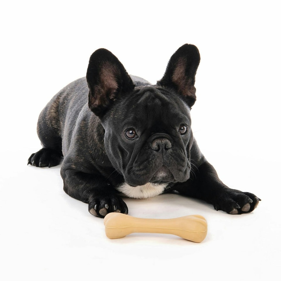 image 1 of M-PETS GREENBO Natural Rubber Bones - Small
