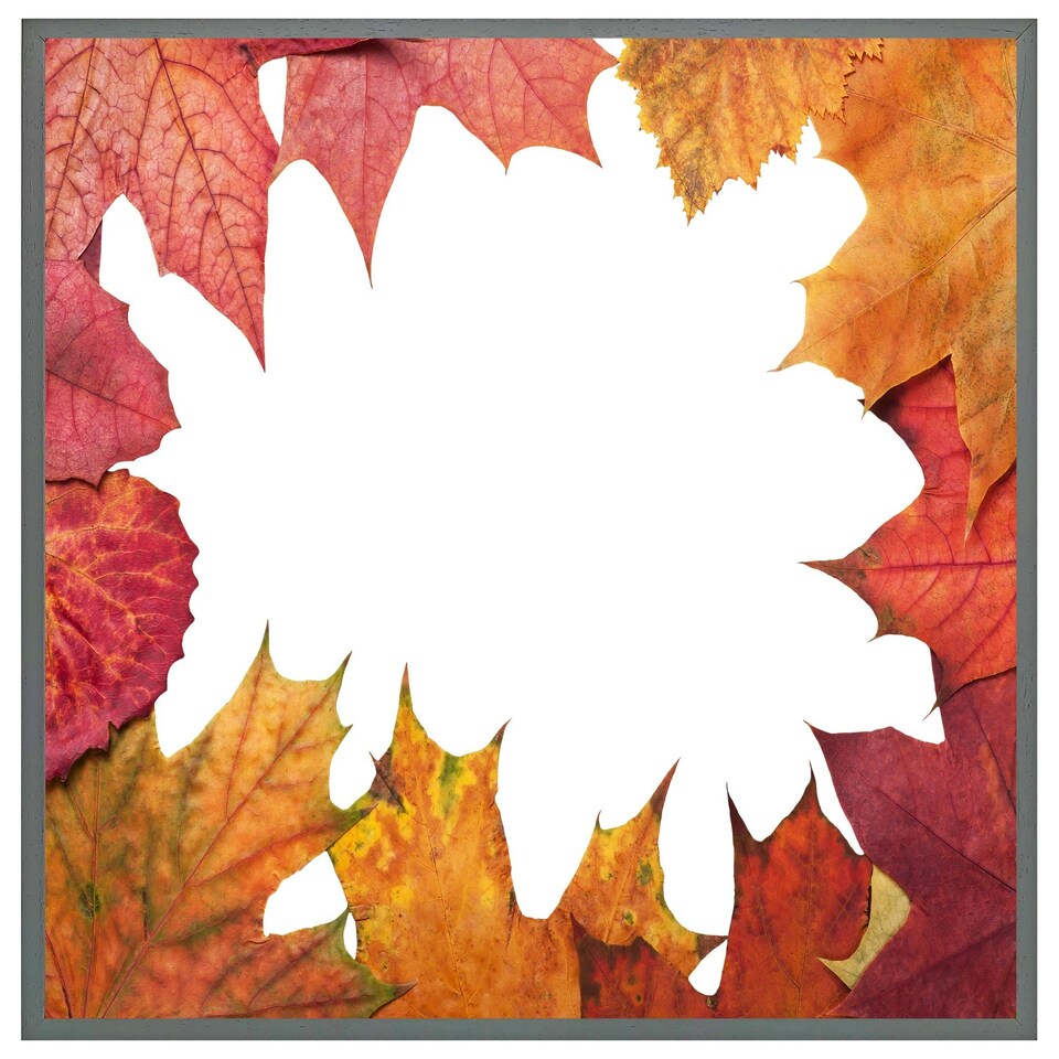 image 1 of Red autumn border (Picture Frame) Brown | XL