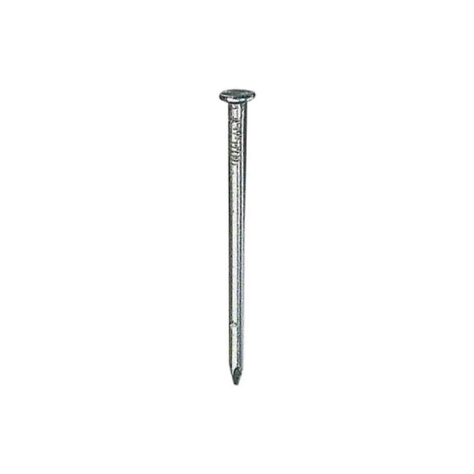 Securfix Round Galvanised Wire Nails - Steel - 250g