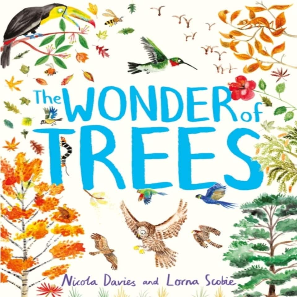 Wonder Of Trees