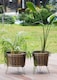 image 2 of Prizma Collection Foldable Gold Plant Pot - 45 cm (H) x 43 cm (Dia)
