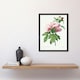 image 2 of Pale Pink Peony Bloom Floral Stem Flowers Pretty Framed Wall Art Print