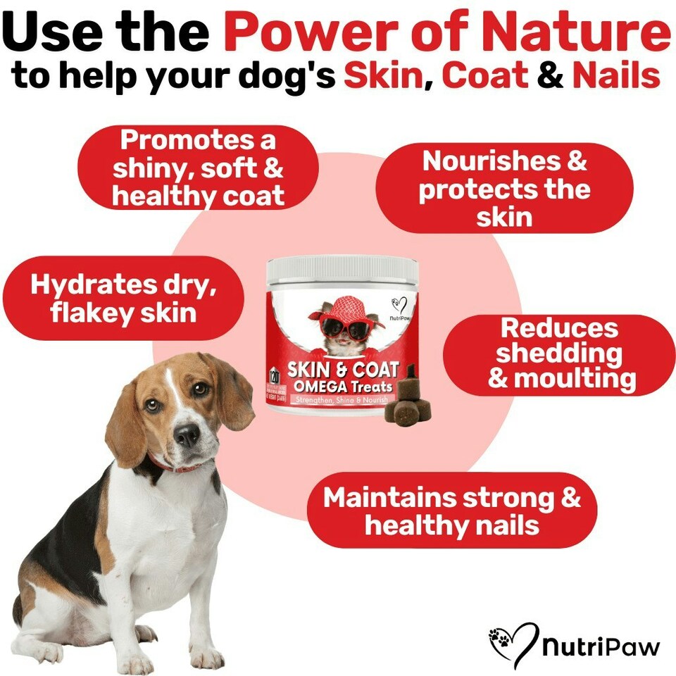 image 1 of Skin & Coat Treats