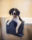 image 4 of Henry Wag Grey Pet Microfibre Cleaning Towel Size Large