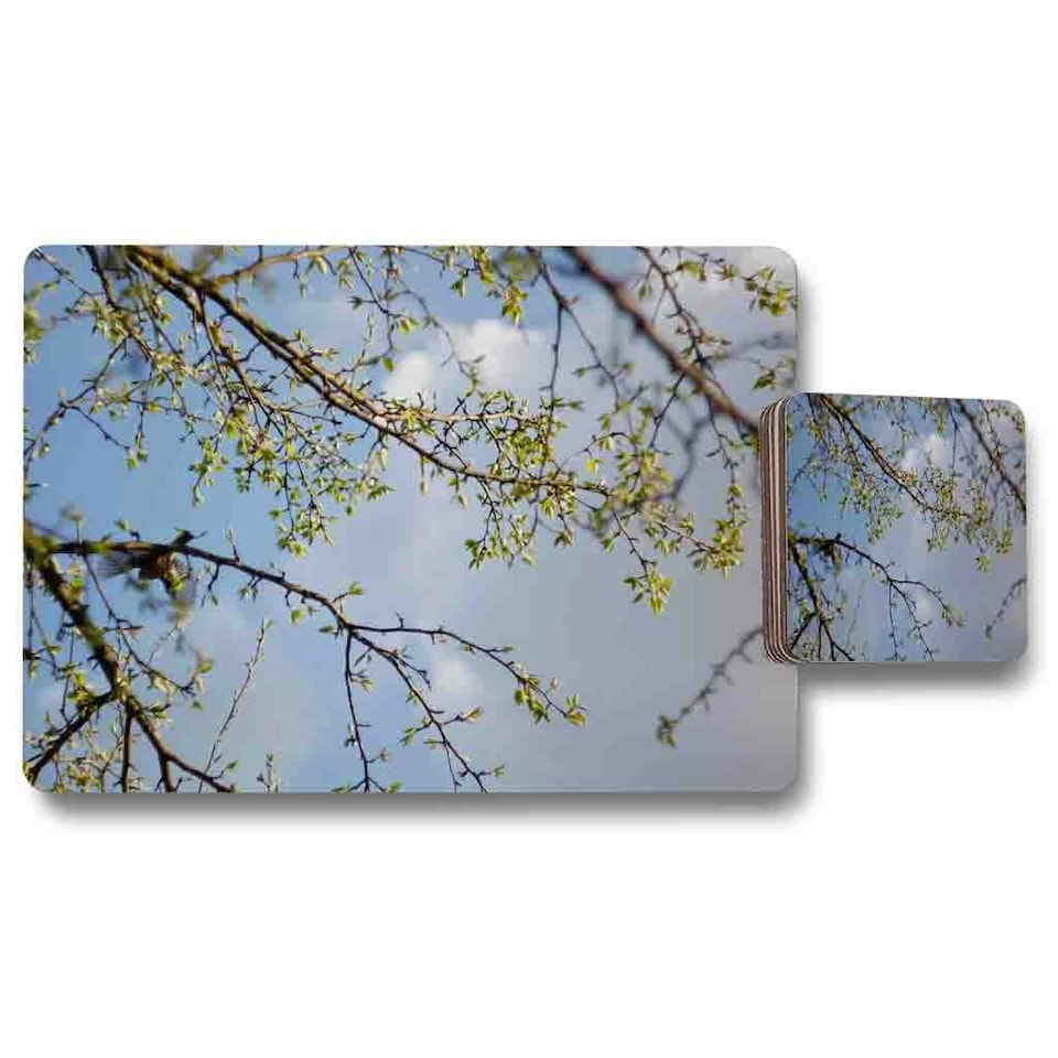 Tree Branches & Sky Placemat & Coaster Set