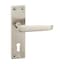 Satin Nickel Keyhole