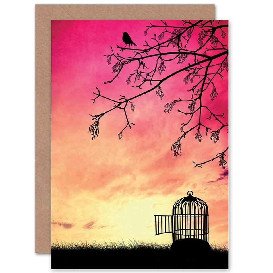 image 1 of Goodbye Travel Freedom Bon Voyage Open Cage Pink Greeting Card